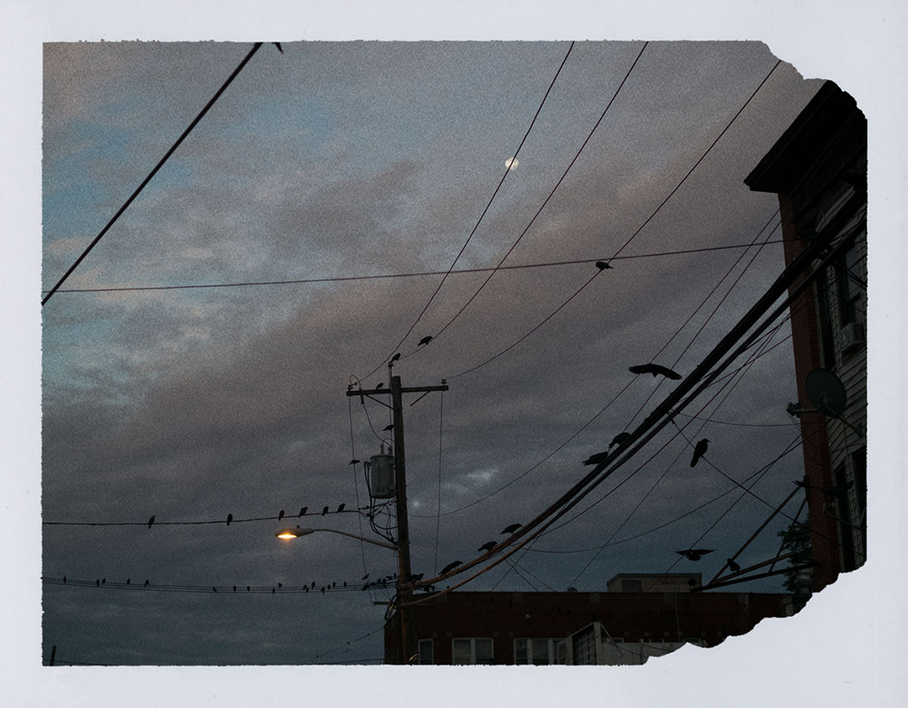 Polaroids from NYC-9