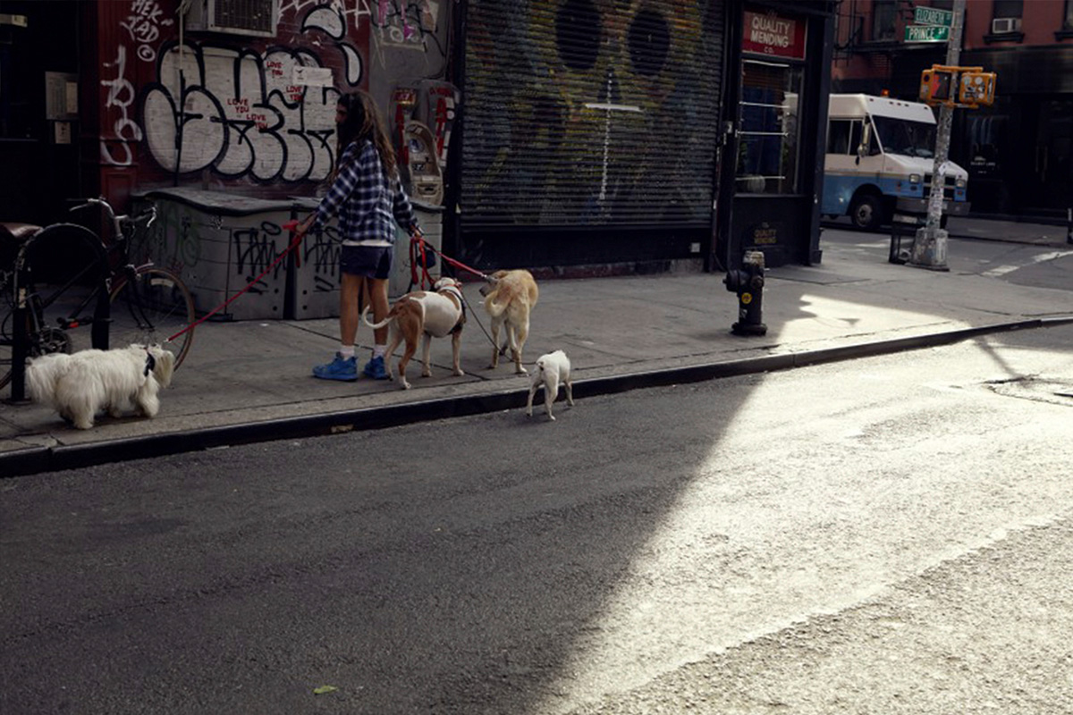 Mini Cooper Lifestyle-10